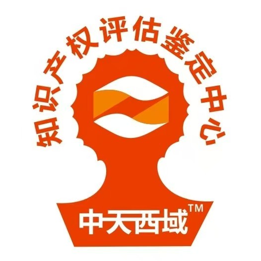 中天西域Logo